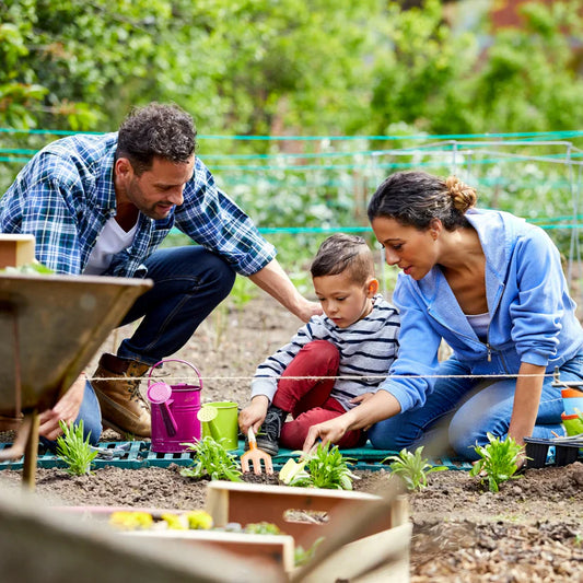 Semillas de Jardín de Colores